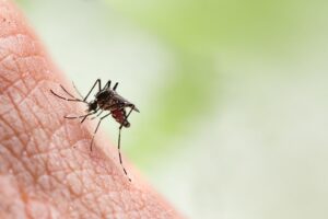how to get rid of mosquito bites overnight