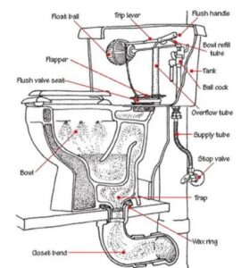 Toilet Diagram Parts Identification