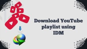 How to Download Playlist from Youtube using IDM