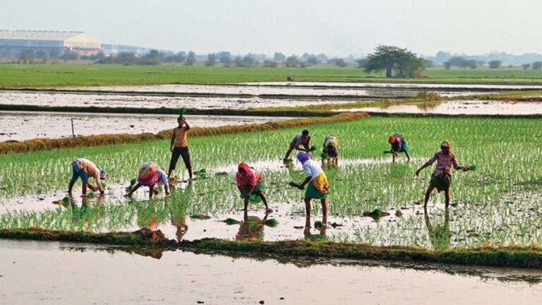 west bengal farmers