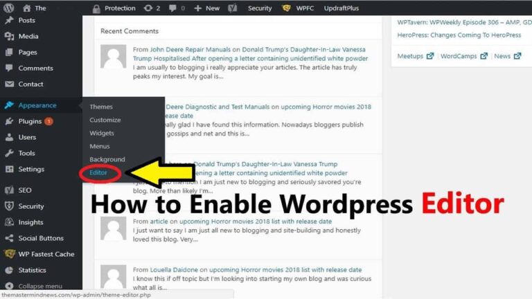 editor option is missing in wordpress