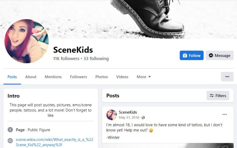 Scenekids Login